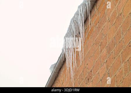 A brick wall with icicles hanging from it. The icicles are dripping water and the wall is covered in ice Stock Photo