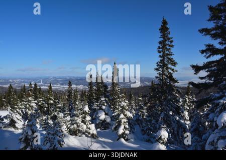 High-Altitude Winter Vista of the Charlevoix Valley Stock Photo