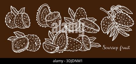 Soursop fruit outline vector set on dark brown background. Sketch of guanabana in engraving style. Set of various tropical whole fruits, halves and sl Stock Vector
