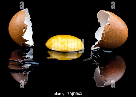 BROKEN EGG SHOWING REFLECTIONS OF SHELL AND EXPOSED YOLK WITH BLACK BACKGROUND AND LOTS OF COPY SPACE REPRESENTING RISK OR ACCIDENTAL DAMAGE. Stock Photo
