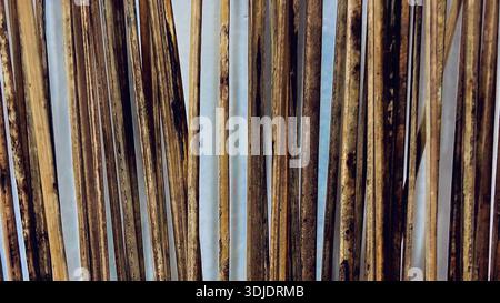 Close-up texture of dried bamboo sticks or reed stems arranged vertically. The natural brown and golden tones create an organic abstract background. Stock Photo