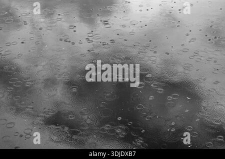 Black and white close-up of raindrops hitting water and forming circular ripples on the surface, creating a moody abstract rainy background Stock Photo