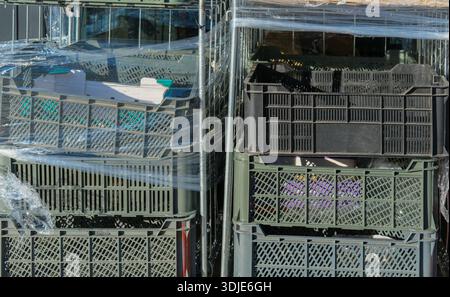 Grey and black plastic storage crates stacked vertically on metal trolley, wrapped in clear polyethylene film; ribbed surfaces, hard shadows Stock Photo