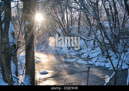 Winter Sun Shining Through Trees Over a Scenic River in Estonia Stock Photo