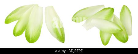 Chicory salad leaves isolated on white background with full depth of field. Top view. Flat lay Stock Photo