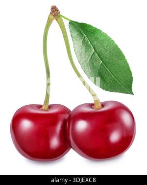 Two tart cherries or sour cherries with leaf isolated on white background. File contains clipping path. Stock Photo