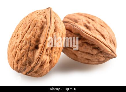 Two whole walnuts isolated on white background. Clipping path. Stock Photo