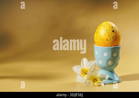 Speckled Easter egg in pastel cup with daffodils on soft background Stock Photo