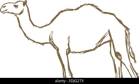 Hand drawn line sketch of a camel standing in profile with long legs and hump Stock Vector