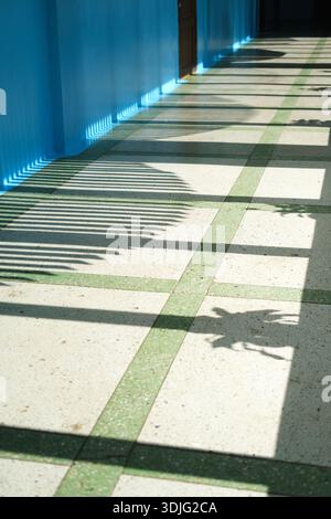 Sunlight casts beautiful shadows on a textured floor, highlighting patterns formed by plants and architectural features, creating a serene and artisti Stock Photo