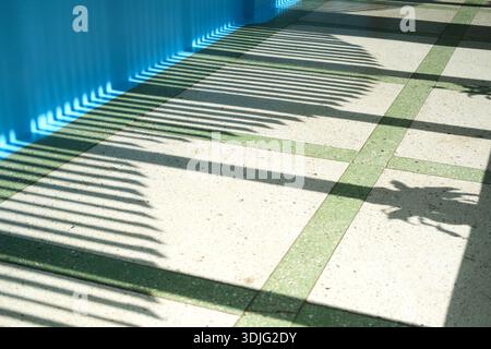 Palm leaf shadows create intricate patterns on a textured floor with green tiles, illuminated by sunlight, enhancing the calm and peaceful ambiance of Stock Photo