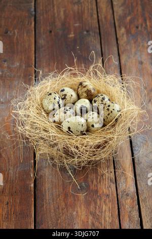 Quail eggs in a nest Stock Photo