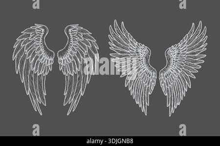 Hawk or eagle wings, white sketch. Vector illustration. Set of bird wings isolated on a black background. Fantasy angel or griffin wings for tattoos, Stock Vector