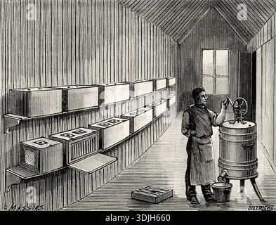 New methods of beekeeping in 1893. Interior of the apiary. — Two rows of hives, one of which is open, allowing a view through a window of the frames where the bees are housed. — On the right, a centrifugal extractor. Old 19th century engraved illustration from La Nature 1893 Stock Photo