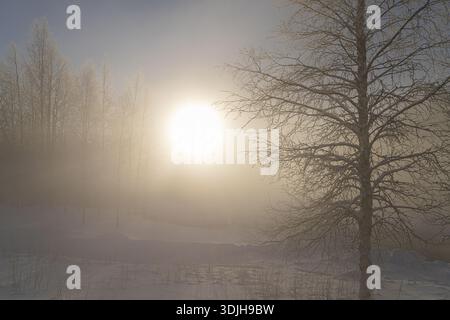 View of the sun shining through the fog on the snow covered ground, creating a hazy and ethereal winter landscape, Muonio, Lapland, Finland. Stock Photo