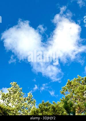 Heart shaped cloud in the sky Stock Photo