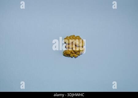 A peeled walnut kernel rests against a simple blue background Stock Photo