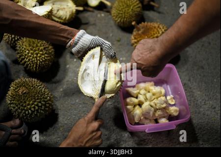 Close Up cutting open a durian and placing it in a container Stock Photo