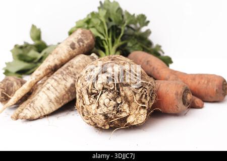 Assorted root vegetables including parsley root carrot and celery isolated on white background. Fresh organic produce used for soup cooking. Stock Photo