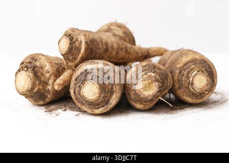 Fresh parsley root on white background. Raw root vegetable closeup. Organic parsnip like parsley for cooking. Healthy kitchen ingredient. Stock Photo
