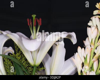 Elegant floral bouquet featuring white lilies Stock Photo