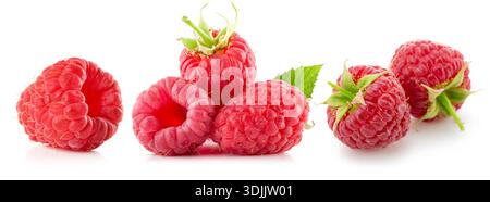 Ripe raspberry isolated on a white background. Ripe raspberries. Stock Photo