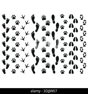 vector illustration prints of traces of people and animals on a white background Stock Vector
