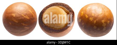 Macadamia nuts isolated on white background. Stock Photo