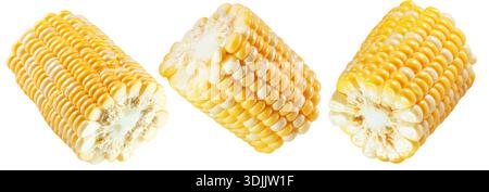 Corn isolated on white background with clipping path. Stock Photo