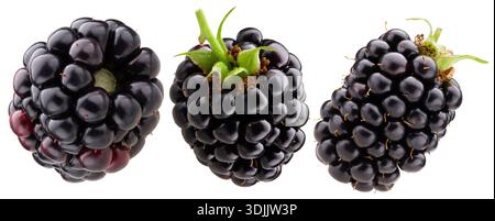 Blackberry isolated on white background. Clipping Path. Full depth of field. Stock Photo