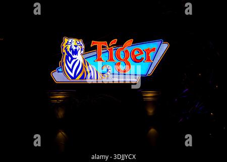 an-illuminated-tiger-beer-sign