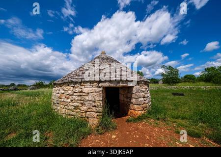 A traditional dry stone hut stands in a grassy field in Vodnjan under a bright blue sky with large white clouds and trees in the distance. Stock Photo