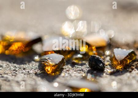a macro image of a broken beer bottles smashed on the floor in the street Stock Photo