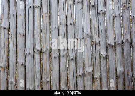 Background texture of old grey wooden fence from whole logs with knots. Shabby fence. Natural material. Stock Photo