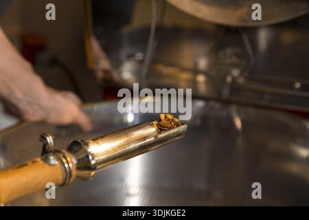 Coffee is roasted by hand in a small drum roasting machine with a lot of experience, Mrs. Mueller checking the degree of roasting, Kaffeeroesterei Mue Stock Photo