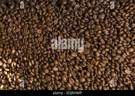 Coffee is roasted by hand in a small drum roaster with lots of experience, where the hot freshly roasted coffee beans cool down using air in a sieve, Stock Photo