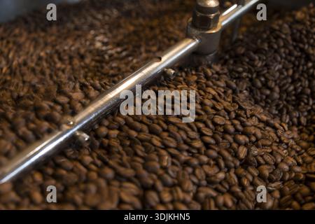 Coffee is roasted by hand in a small drum roaster with lots of experience, where the hot freshly roasted coffee beans cool down using air in a sieve, Stock Photo