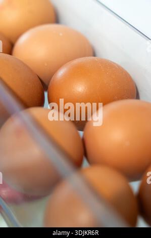 Eggs displayed neatly in ecofriendly kitchen setting with natural illumination Stock Photo