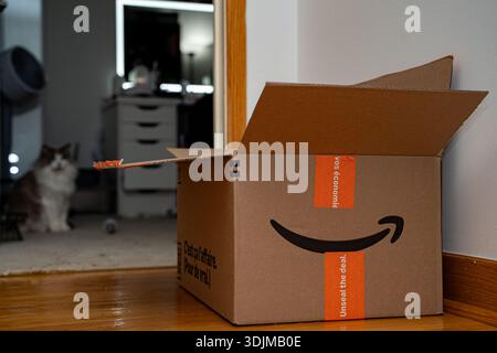 View of open Amazon cardboard box inside home interior. Toronto, Canada - January 24, 2026. Stock Photo
