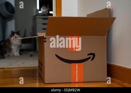 View of open Amazon cardboard box inside home interior. Toronto, Canada - January 24, 2026. Stock Photo
