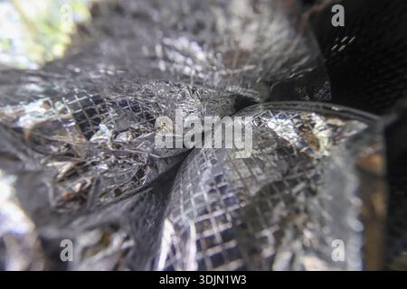 Intriguing abstract macro background of dark, shiny, crumpled metallic surface with mesh grid pattern. Complex industrial texture showing intricate de Stock Photo
