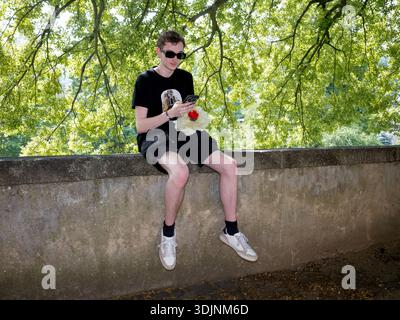 A young man in sunglasses and black clothes sitting on a stone wall, looking at his smartphone while holding a paper rose Stock Photo