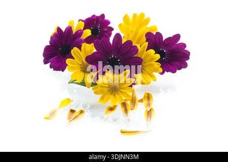 flower bouquet on white background. Stock Photo