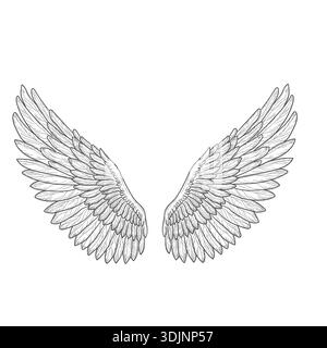 Bird wings, black and white sketch. Vector illustration. Angel or dove of peace wings isolated on a gray background. Suitable for tattoos, t-shirts, s Stock Vector