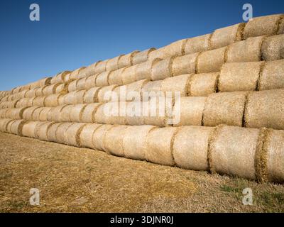 Stacked of straw bales, round rolls, and a large pile Stock Photo