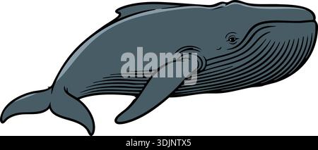 Flat illustration of a gray whale swimming in side view with subtle shading Stock Vector