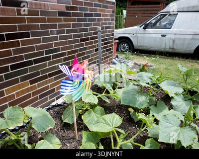 A colorful pinwheel windmill toy is placed in a garden bed with green cucumber plants next to a brown brick wall Stock Photo