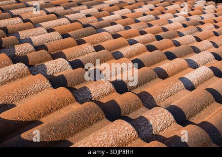 Detailed view of metal wavy roof tiles, brightly illuminated by sunlight, showing texture and reflective surfaces up close Stock Photo