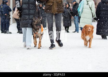 People walk dogs along a snow-covered city street during winter weather as light snowfall falls. Stock Photo