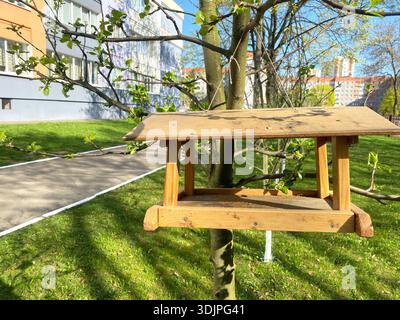 Wooden bird feeder is suspended from a tree branch in a grassy park area with a paved path and buildings in the background under bright sunlight Stock Photo